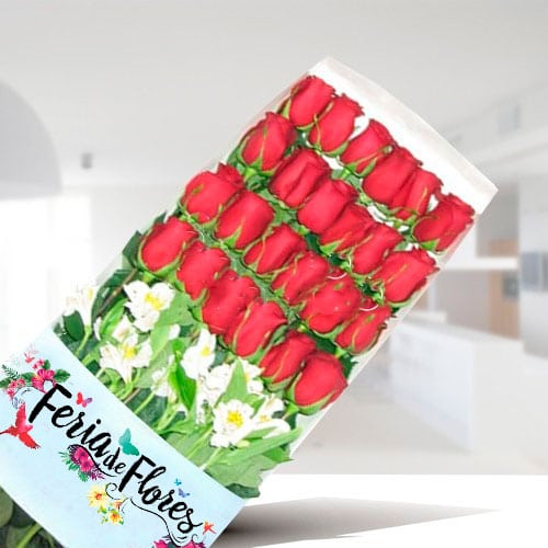 FL017 Caja de 24 Rosas Rojas 1