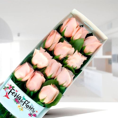 FL024 Caja de 12 Rosas Rosadas 1